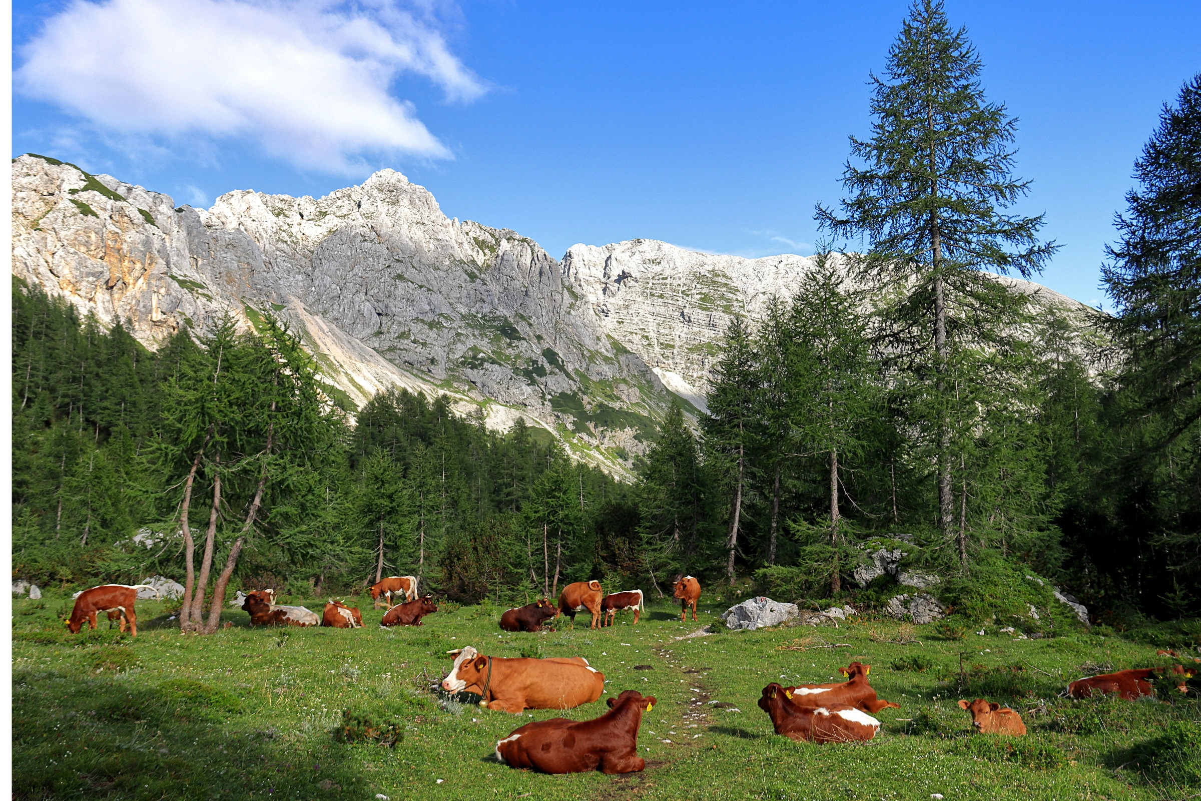 Triglav_National_Park[1].webp